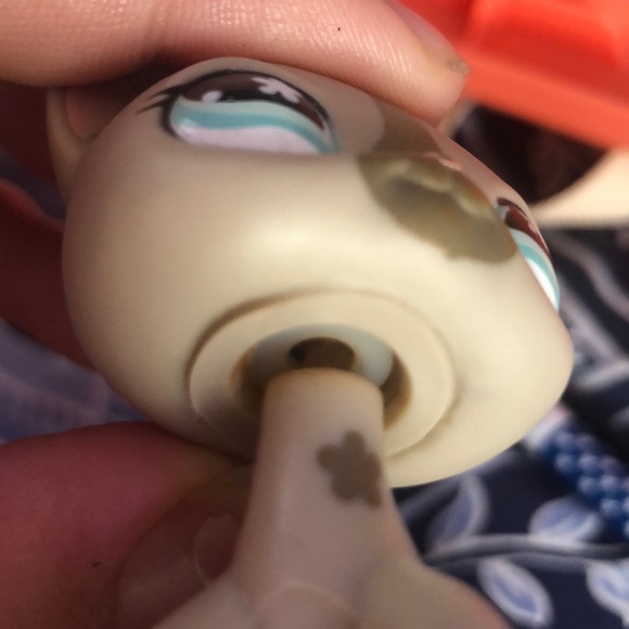 LPS - Picture 2 of 13